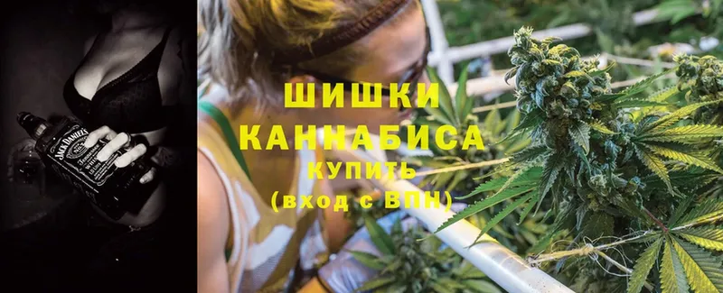 Каннабис Amnesia  mega   Камызяк 